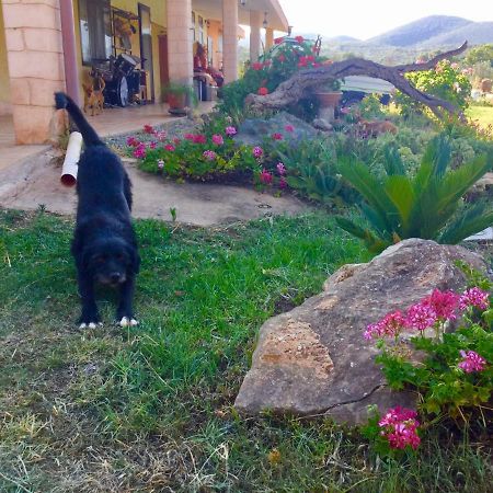 Agriturismo Sogno Latino อีเกลเซียส ภายนอก รูปภาพ