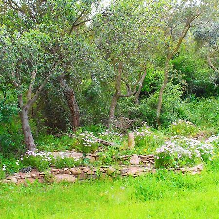 Agriturismo Sogno Latino อีเกลเซียส ภายนอก รูปภาพ