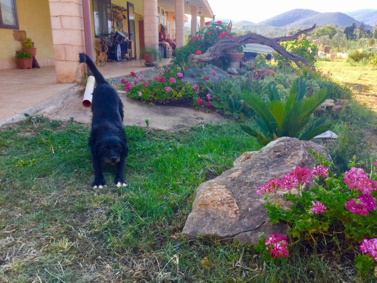 Agriturismo Sogno Latino อีเกลเซียส ภายนอก รูปภาพ