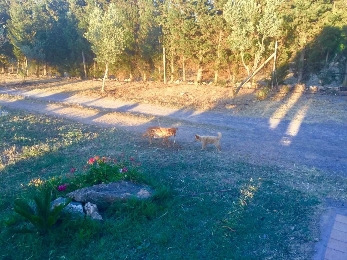 Agriturismo Sogno Latino อีเกลเซียส ภายนอก รูปภาพ