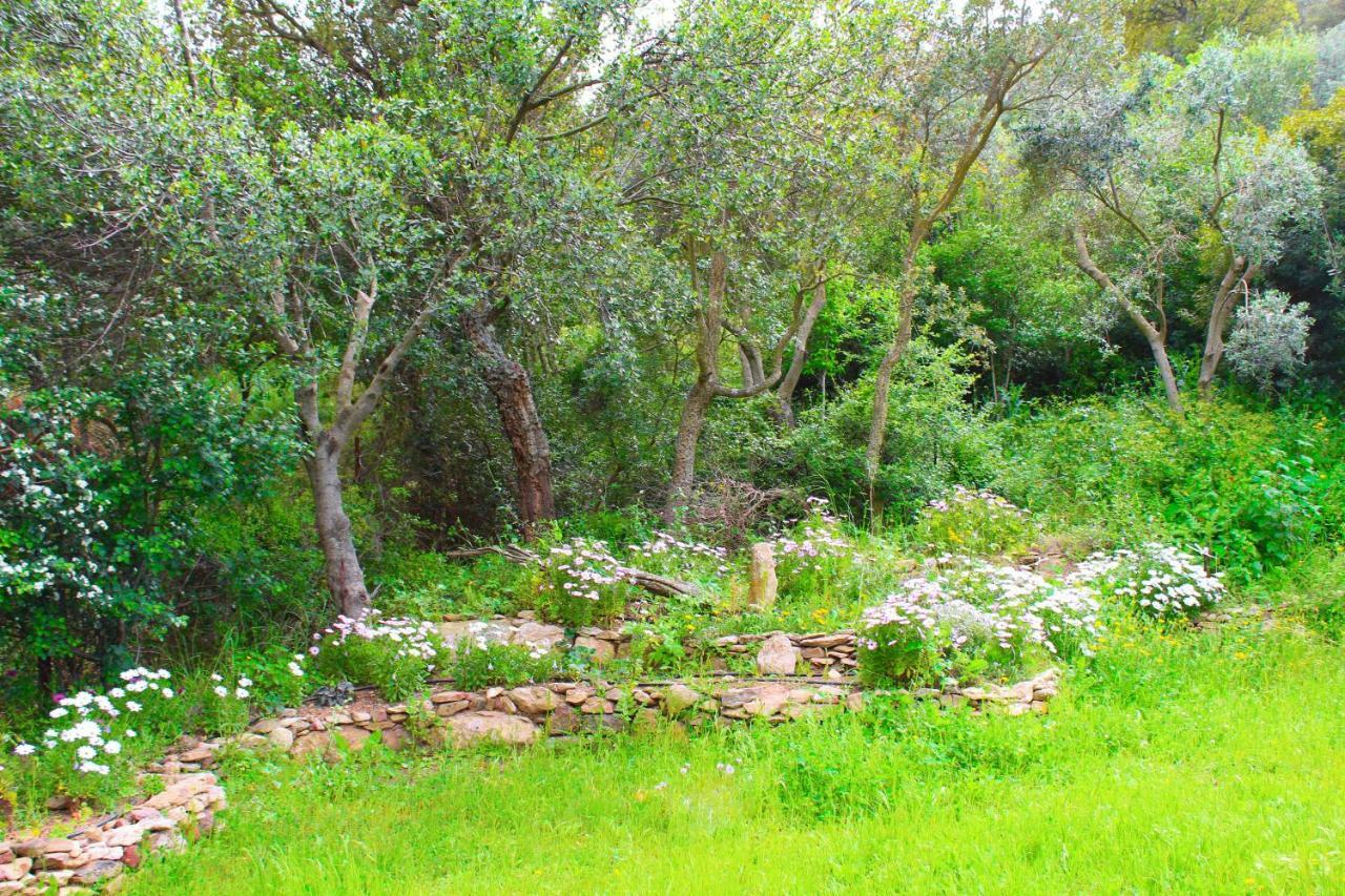 Agriturismo Sogno Latino อีเกลเซียส ภายนอก รูปภาพ